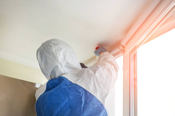 Why You Should Choose Our Mold Remediation Services in Lake Darby, OH