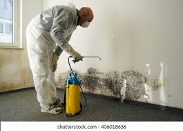 Mold Odor Removal Services in Lake Darby, OH